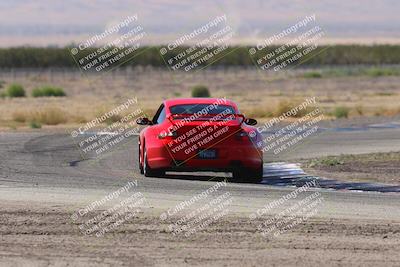 media/Oct-04-2025-OnGrid (Sat) [[44bd565ffa]]/Purple Group/Grapevine/